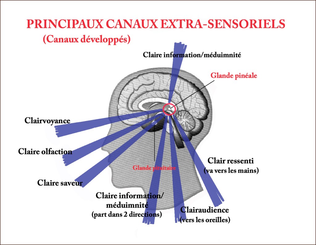 Les dangers du développement des perceptions extra-sensorielles (médiumnité,&nbsp;clairvoyance..)